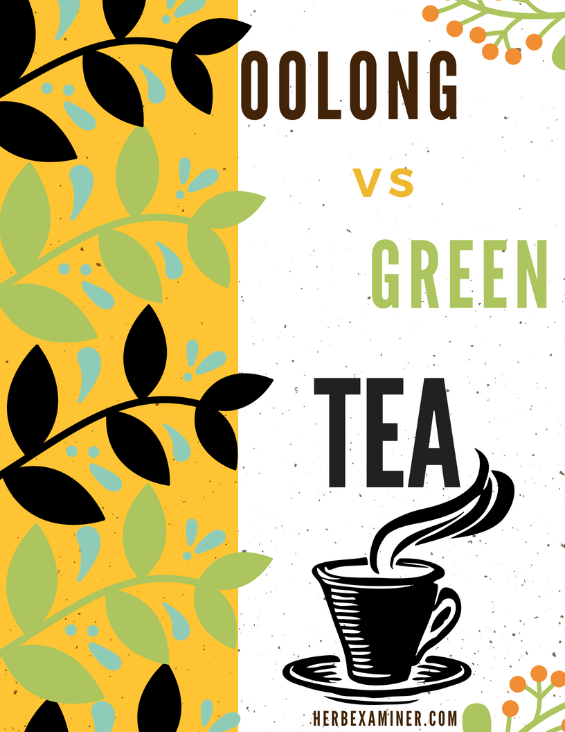 oolong vs green tea header