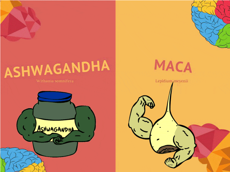 Ashwagandha VS Maca