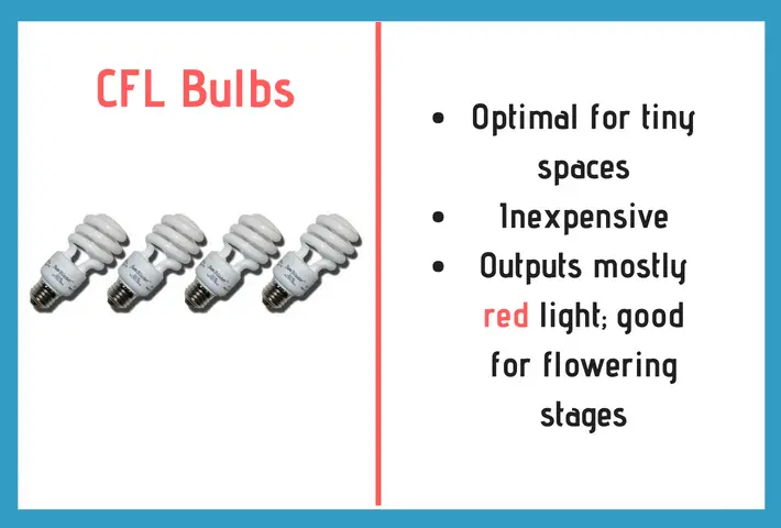 cfl bulbs info graph and information