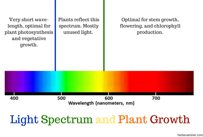 light spectrum and plant growth detailed chart