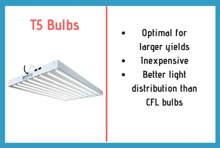 t5 bulbs description and information