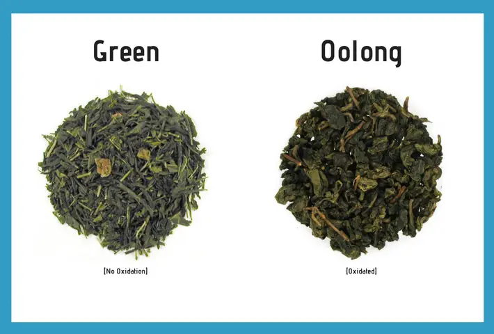 Oolong VS Green tea leaves