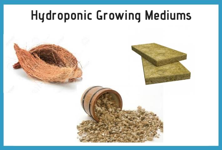 hydroponic growing mediums