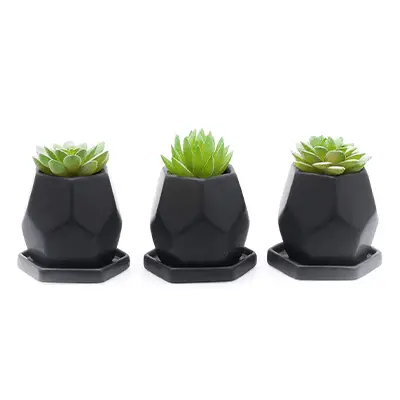 hexagonal pots for succulents