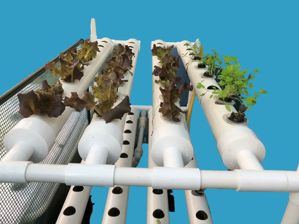 PVC hydroponic grow system