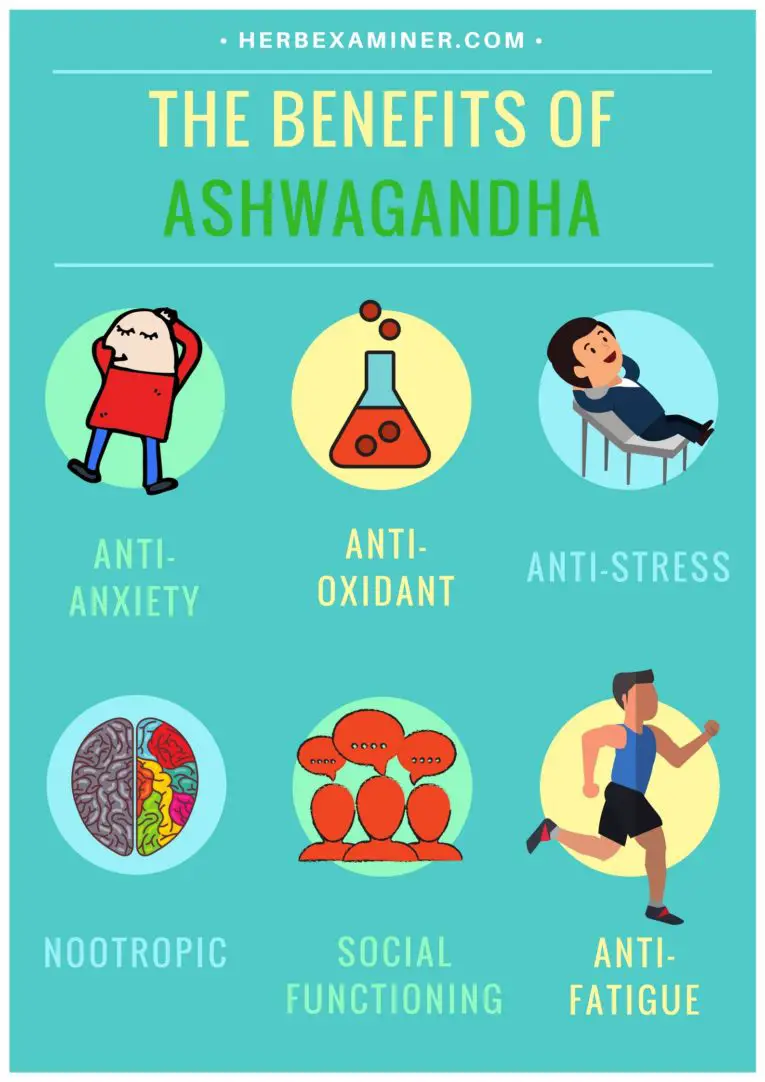 Ashwagandha Benefits Infograph