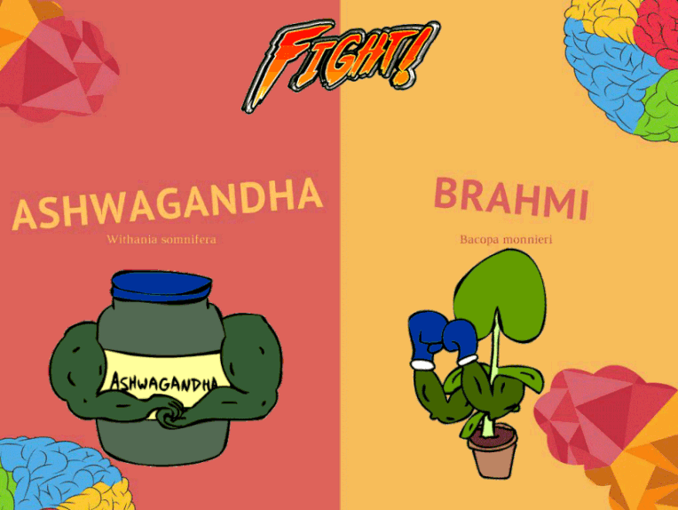 Ashwagandha VS Brahmi infograph