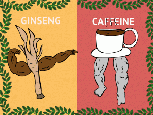 Ginseng VS Caffeine Header