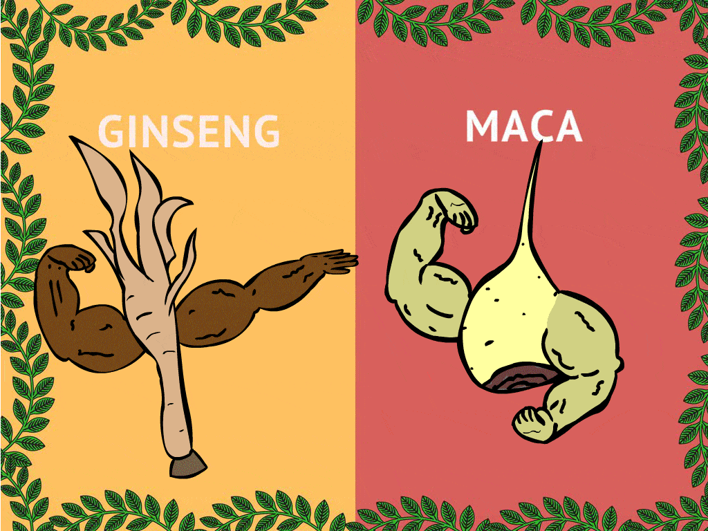 Ginseng VS Maca Header