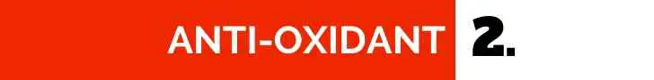 japanese ginseng anti oxidant effects