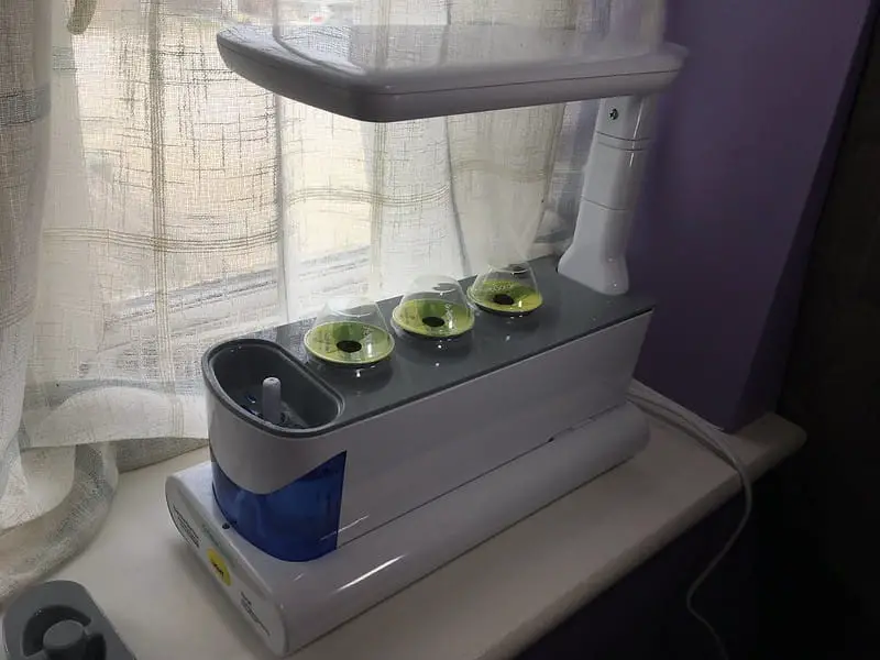aerogarden sprout planting side view