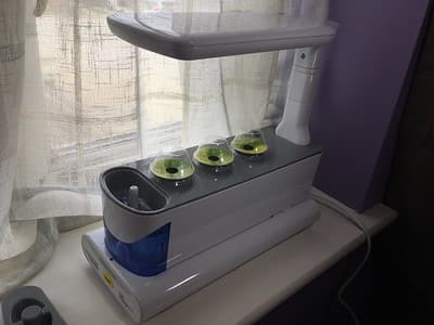 AeroGarden Sprout growing side view