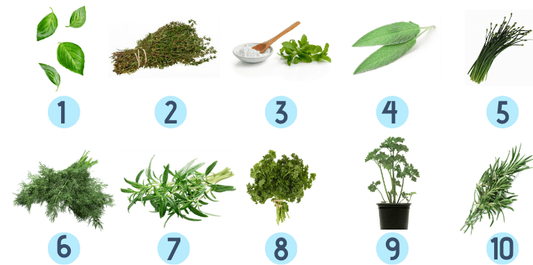 best herbs for indoor gardening