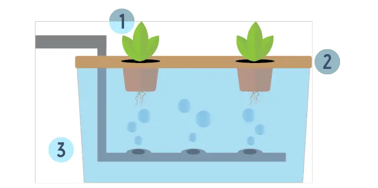 floating hydroponic technique diagram