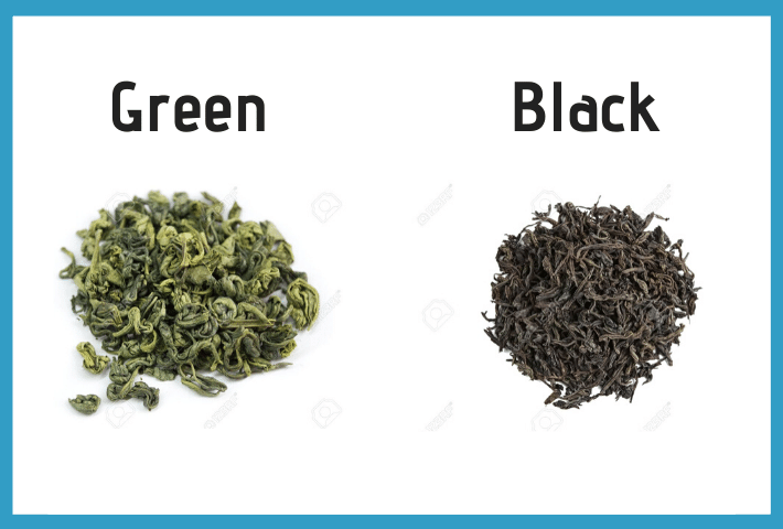 green tea oxidation graphic