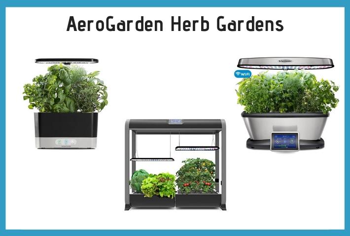 aerogarden herb gardens