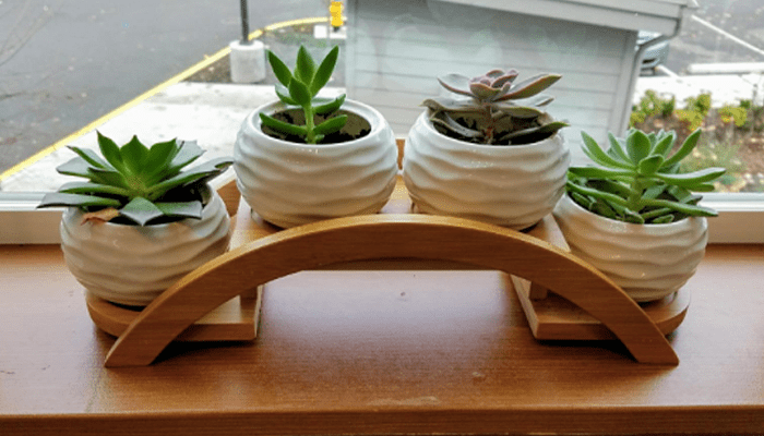 ceramic pots for indoor plants with bamboo tray