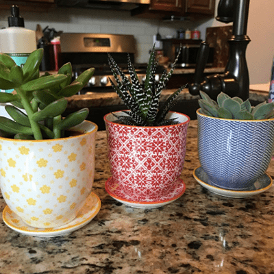 chive round ceramic pots for indoor plants