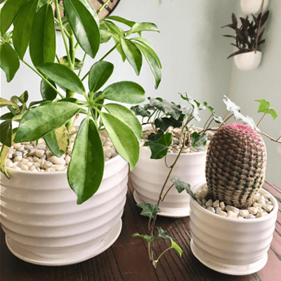 mygift 3 round pots for indoor plants