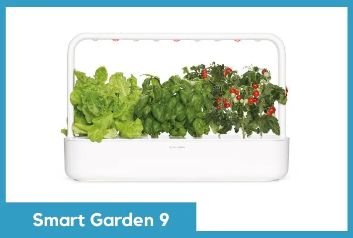 click and grow smart garden 9 review image