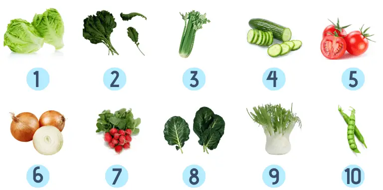 hydroponic vegetables chart