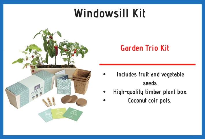 windowsill herb kit 