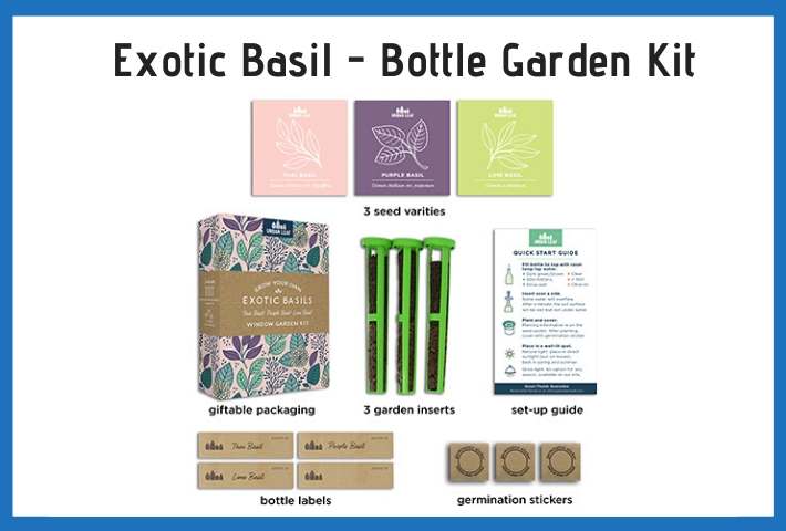 bottle herb gardening kit supplies