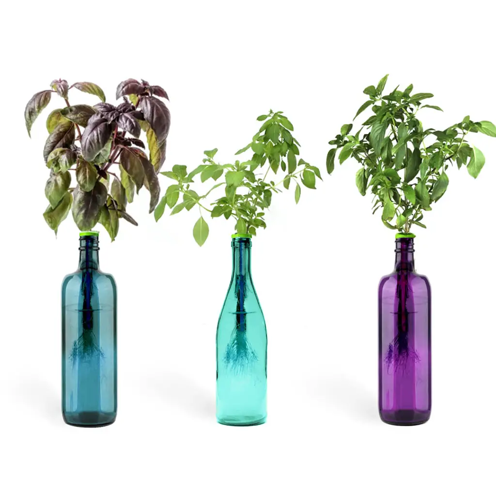 bottle herb gardening kit