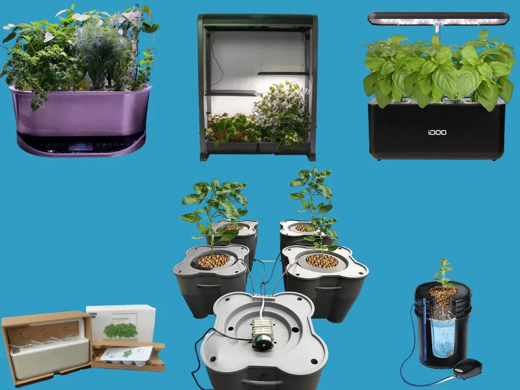 Hydroponic System for Vegetables