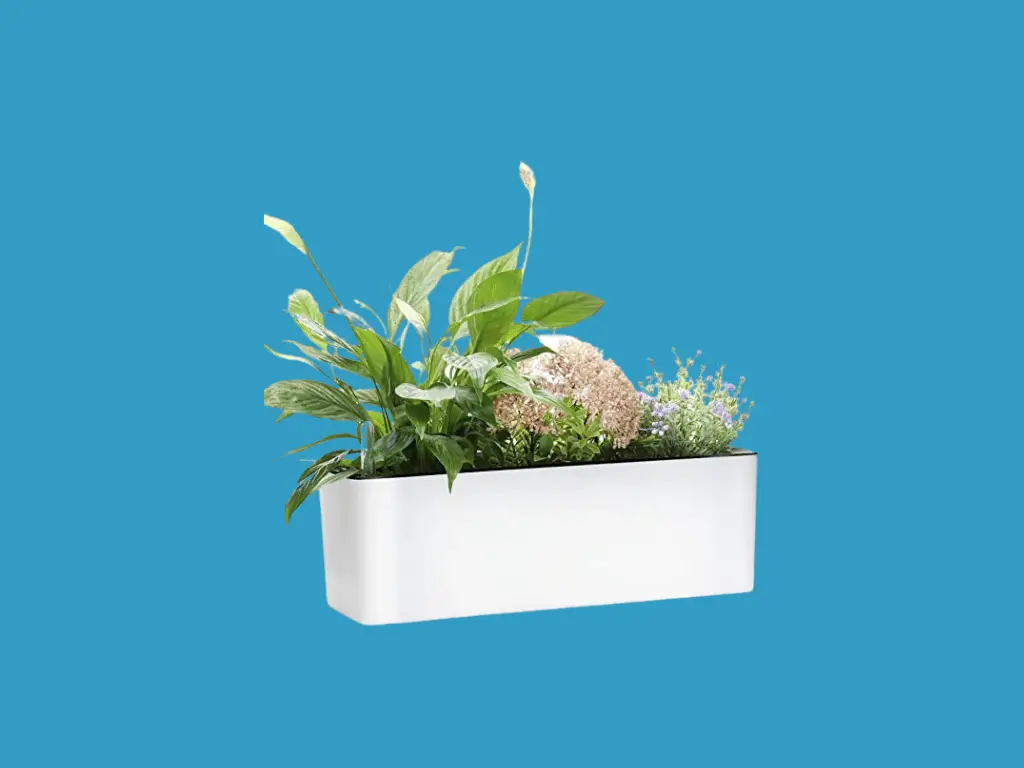 Elongated Self Watering Planter Pots Window Box with Coconut Coir